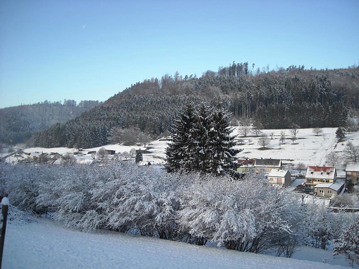 Cosy Holiday Home With Garden In Walscheid Экстерьер фото